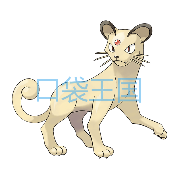 猫老大