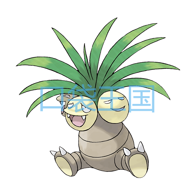 椰蛋树