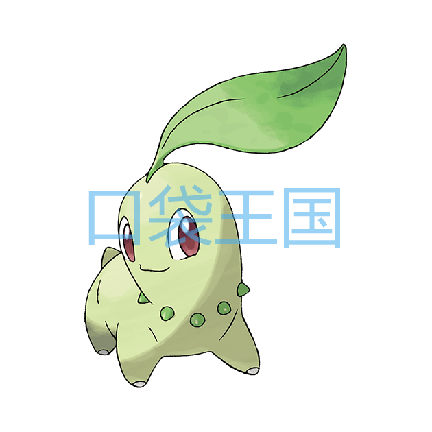 菊草叶