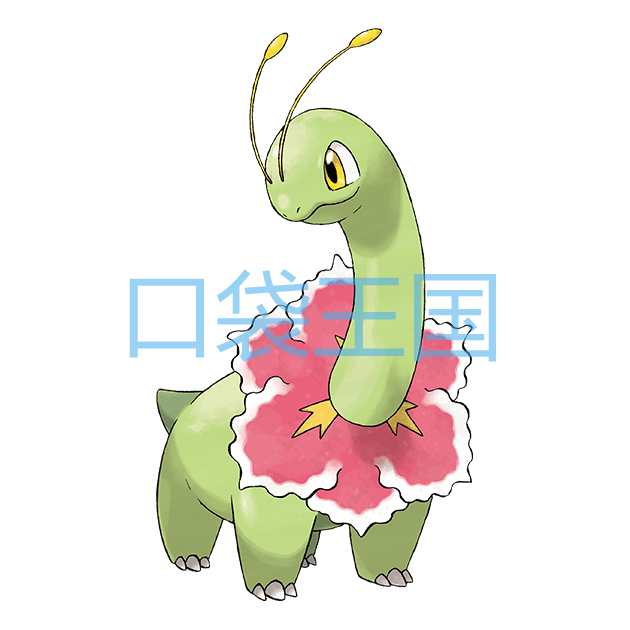 大竺葵