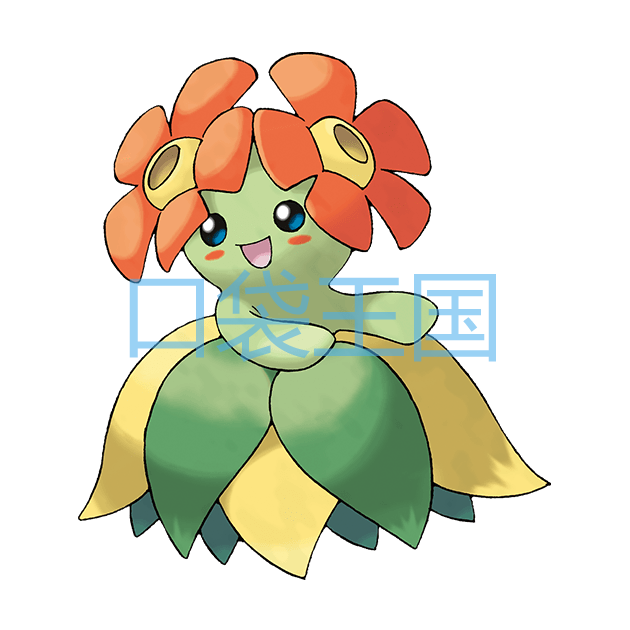 美丽花