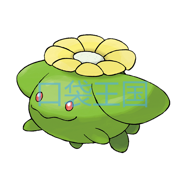 毽子花