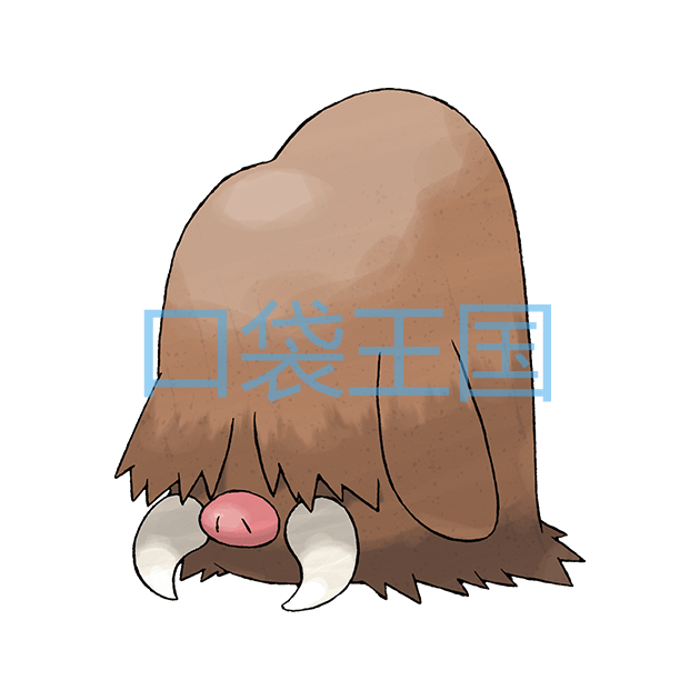 长毛猪