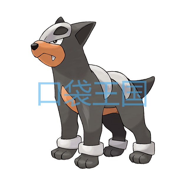 戴鲁比