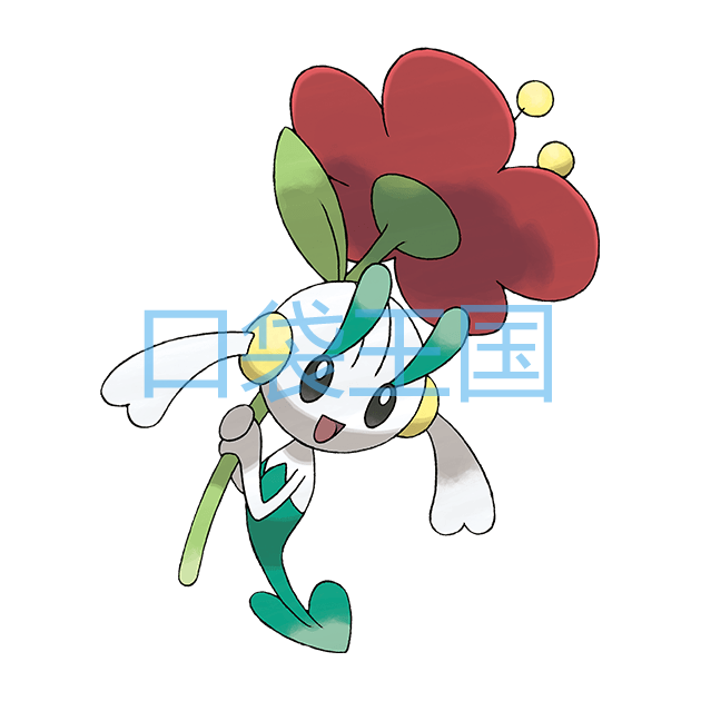 花叶蒂