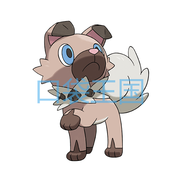 岩狗狗