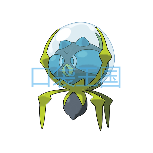 滴蛛