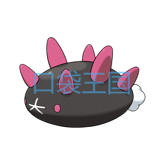 拳海参