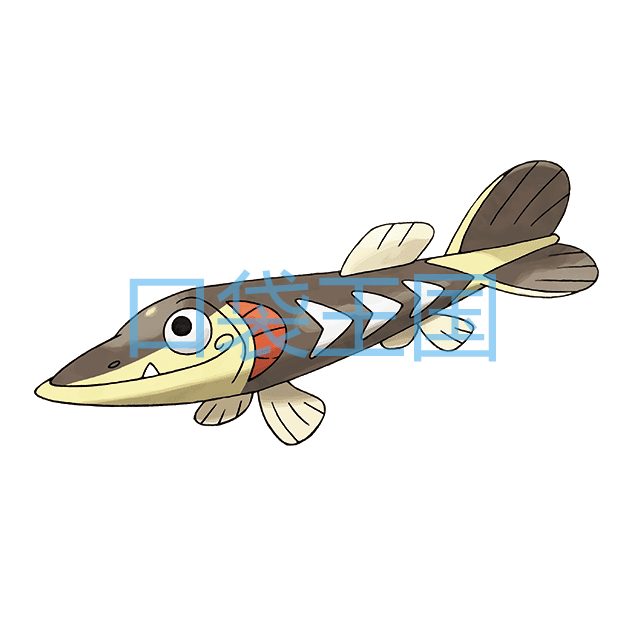 刺梭鱼