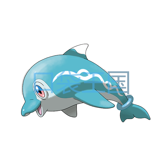 波普海豚