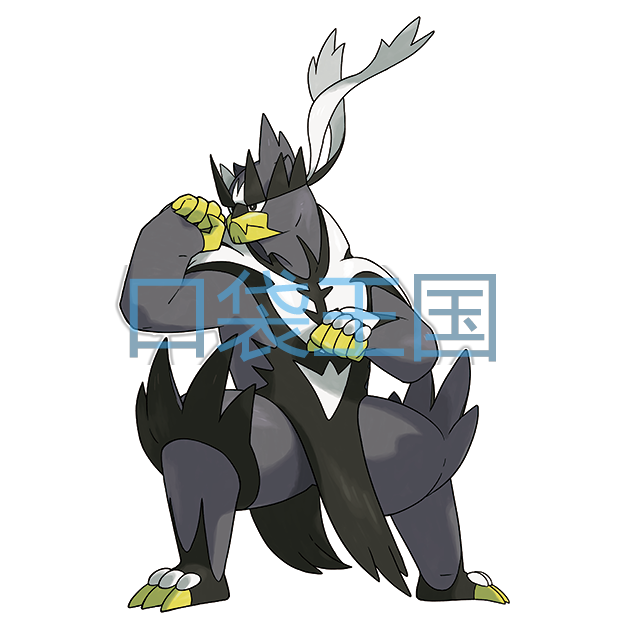武道熊师